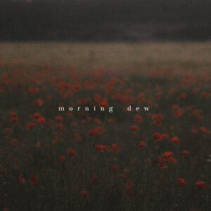 Tina Sosna - Photo Preset Package - Calm & Quiet - Lightroom Desktop/Mobile – Gói Preset Màu Film Mang Đến Sự Yên Tĩnh Lãng Mạn Nên Thơ Trong Tác Phẩm Của Bạn (xmp/acr, dng) A72X94 16 tina sosna photo preset package calm quiet lightroom desktop mobile goi preset mau film mang den su yen tinh trong tac pham cua ban 8