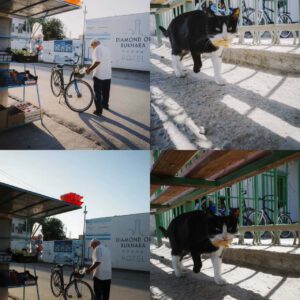 Bộ sưu tập preset film màu xanh tươi mát dành cho ảnh chân dung phong cảnh ngoài trời phong cách Trung Quốc 2025 (xmp/acr) A77X68 8 bo suu tap preset film mau xanh tuoi mat danh cho anh chan dung phong canh ngoai troi phong cach trung quoc 2025 3