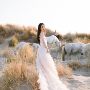 dvlop for the love of film fuji bo suu tap preset mau film fuji fine art nhe nhang tinh te 4