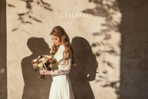 DVLOP – Susan Stripling - Cerebral – Bộ sưu tập Preset cổ điển hơi thô ráp và rất đẹp (xmp/acr) T78Y20