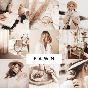 Loox - Fawn Lightroom Presets – Bộ Sưu Tập Preset Tone Màu Be Nhẹ Nhàng Mềm Mại (xmp/acr) M75B46