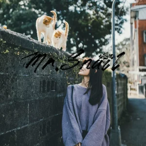 bo suu tap 34 preset mo phong phim fujifilm nc cc dam chat fujifilm dep va an tuong phong cach trung quoc 2025 3