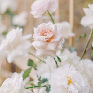 heirloom samples before after 5