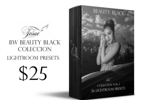 Beauty Black Lightroom Presets – Bộ sưu tập Preset màu trắng đen (lrtemplate) A94X66