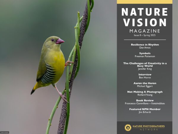 tap chi nature vision so 8 mua xuan nam 2025 2 scaled