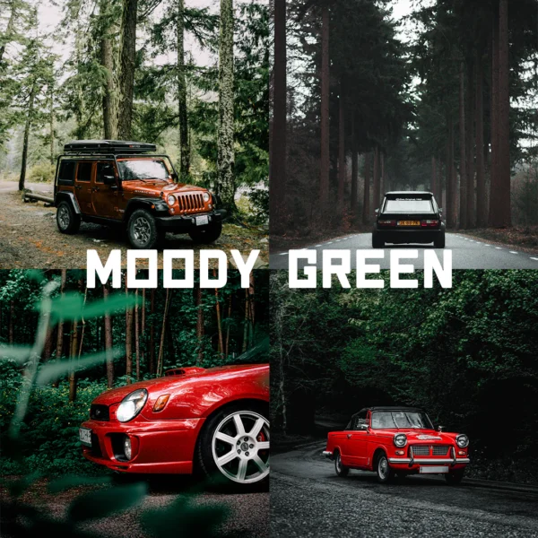 tuner presets moody green bo suu tap preset thiet ke dac biet de mang den cho nhung buc anh ngoai troi ve u am 2