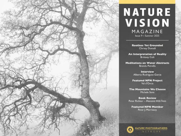 nature photographers network nature vision magazine issue 9 summer 2025 tap chi nature vision nhiep anh thien nhien day hap dan 2 scaled
