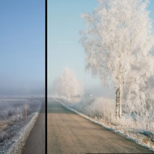 Linus Bergman – Analog Pack Volume II - Lightroom — Bộ Sưu Tập Preset Giả Lập Màu Film Tinh Tế Dịu Nhẹ và Chân Thực (xmp/acr) G101P59 12 linus bergman analog pack volume ii lightroom bo suu tap preset gia lap mau film tinh te diu nhe va chan thuc 4