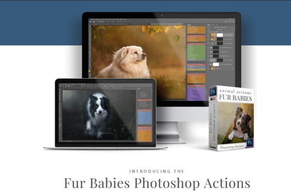 LSP Actions - Fur Babies V3 — Bộ sưu tập Actions Fur Babies biến hình ảnh động vật của bạn thành những tác phẩm nghệ thuật hoàn hảo (atn) A103X04