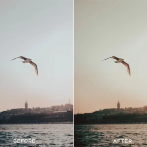 presets io 35mm preset collection bo suu tap preset 35mm film mau dien anh an tuong cua presets io 2