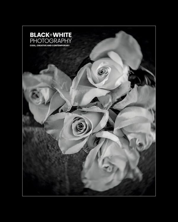 Black+White Photography - Issue 306 — Nhiếp ảnh đen trắng - Số 306 (pdf) L105D58