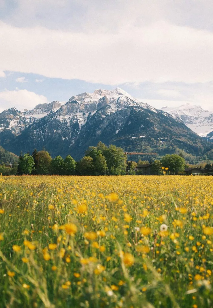 Fujifilm Simulations - Classic Cuban Neg — Gói Preset mô phỏng chân thực chất phim âm bản cổ điển nổi tiếng của Fuji (xmp/acr, dng) G109Y68 3 fujifilm simulations classic cuban neg goi preset mo phong chan thuc chat phim am ban co dien noi tieng cua fuji1.jpg