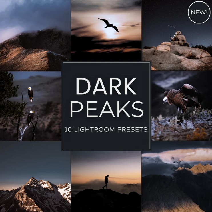Woodland - Dark Peaks Lightroom Presets Pack — Gói Preset Mang Màu Sắc Orange và Dramatic Tone Ấn Tượng Dành Cho Nhiếp Ảnh Thiên Nhiên (xmp/acr, dng) T109N30 1 Woodland - Dark Peaks Lightroom Presets Pack — Gói Preset Mang Màu Sắc Orange và Dramatic Tone Ấn Tượng Dành Cho Nhiếp Ảnh Thiên Nhiên (xmp/acr, dng) T109N30