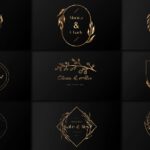 Golden Wedding Titles 4K — Tiêu đề Đám cưới Vàng dành cho After Effects (aep) F110T97