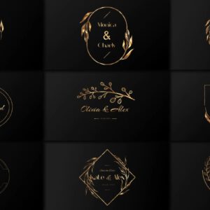 Golden Wedding Titles 4K — Tiêu đề Đám cưới Vàng dành cho After Effects (aep) F110T97