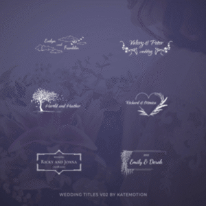 Wedding Titles V2 Part 1 Final Cut Pro — Mẫu Final Cut Pro độc đáo này với 12 hiệu ứng động thanh lịch dành cho chuyện tình yêu video cưới T111V28